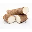 WILD YAM EXTRACT